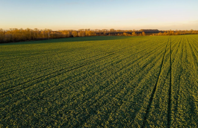 ВП ВС визначила, чи є вимога про припинення правовідношення ефективним способом захисту