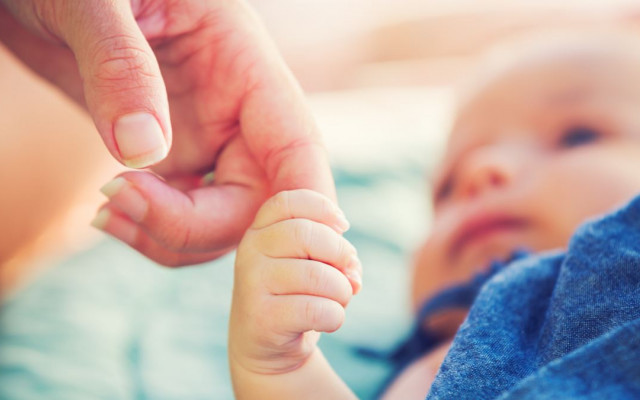 Раді пропонують ухвалити законопроєкт про сурогатне материнство