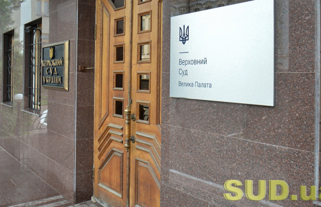 Судьи БП Верховного Суда посвятили особое мнение тому, как нужно было цитировать слова Романа Маселко в выступлении в защиту Ларисы Гольник