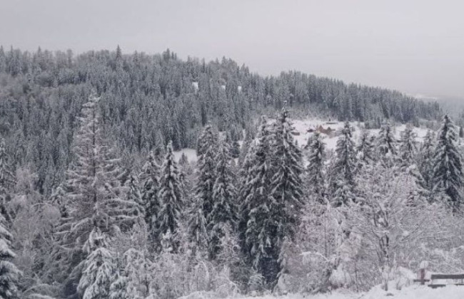 Украинцев предупредили об опасности схождения лавин в Карпатах