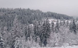 Українців попередили про небезпеку сходження лавин у Карпатах