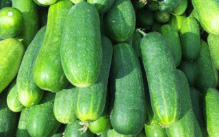 В Україні подорожчав популярний овоч