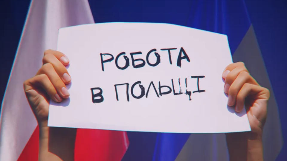 Для украинцев создали руководство о рынке труда в Польше: содержит информацию о трудовом законодательстве, здравоохранении, соцвыплатах