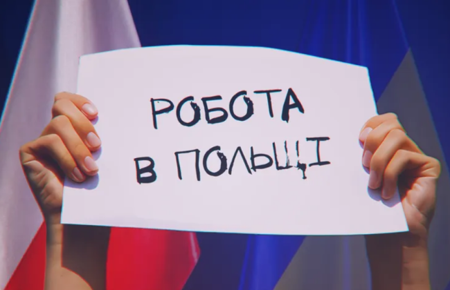 Для украинцев создали руководство о рынке труда в Польше: содержит информацию о трудовом законодательстве, здравоохранении, соцвыплатах