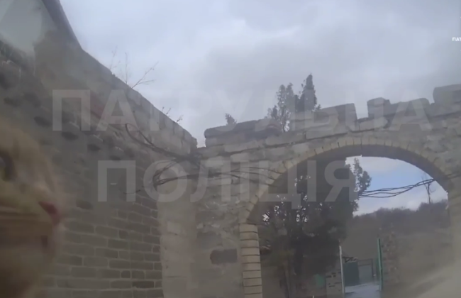 В Патрульной полиции показали, как спасали животных из затопленных домов: видео