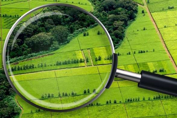 Как отметить в декларации по плате за землю о местоположении земельного участка: объяснение ГНС