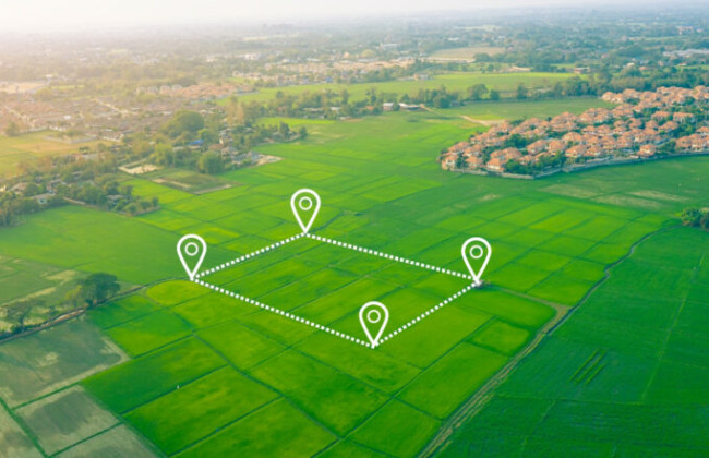В Раде планируют в 2023 году освободить владельцев земельных участков, где продолжались боевые действия, от платы за землю: как получить и продлить льготу