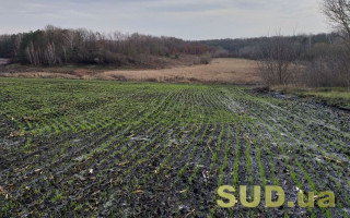 Незаконно передал племяннику земельный участок: будут судить чиновника