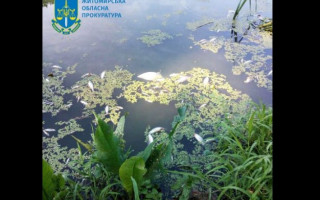 Забруднення річки Тетерів каналізаційними водами: ексдиректору комунального підприємства повідомили про підозру