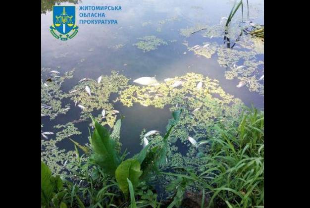 Забруднення річки Тетерів каналізаційними водами: ексдиректору комунального підприємства повідомили про підозру