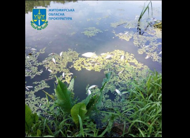 Забруднення річки Тетерів каналізаційними водами: ексдиректору комунального підприємства повідомили про підозру