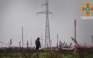 На Харківщині чоловік на подвір’ї власного будинку наступив на міну «пелюстку»