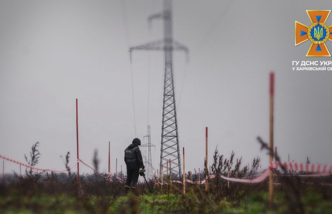 На Харьковщине мужчина во дворе собственного дома наступил на мину «лепесток»