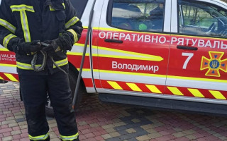 На Волині поблизу дитячого майданчику виявили змію, фото