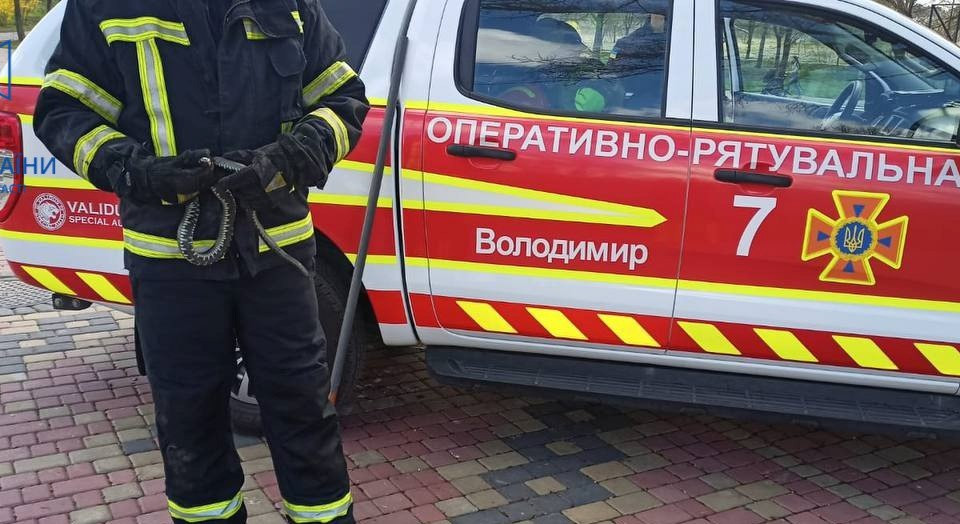 На Волині поблизу дитячого майданчику виявили змію, фото