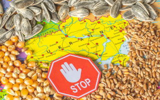 Еврокомиссия отреагировала на решение Польши и Венгрии запретить импорт украинского зерна