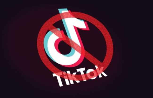 В США первый штат принял закон о запрете TikTok