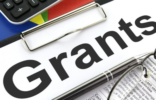 Стало известно, сколько украинцев получат микрогранты на развитие собственного дела