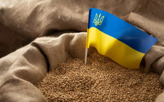 Запрет импорта украинского зерна: Еврокомиссия ждет от Польши и Венгрии объяснений причин