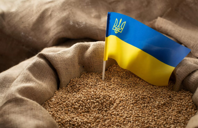 Запрет импорта украинского зерна: Еврокомиссия ждет от Польши и Венгрии объяснений причин