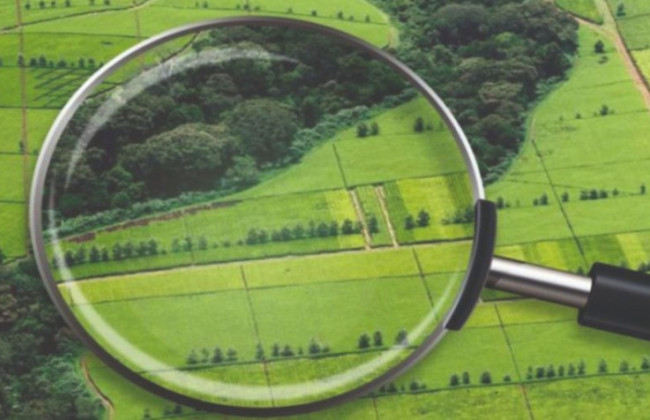 Раді пропонують заборонити громадянам рф набувати право власності на земельні ділянки та водні об'єкти