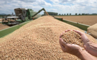 Болгарія заборонила імпорт продовольства з України