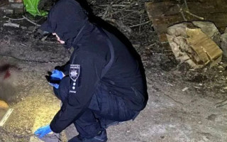 В Киевской области мужчина палкой забил до смерти собаку