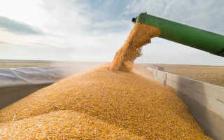 Румунія не закриватиме транзит українського зерна: що відомо