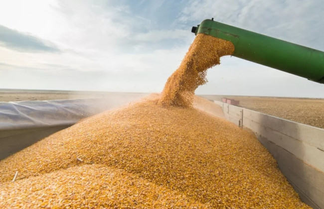 Румыния не будет закрывать транзит украинского зерна: что известно