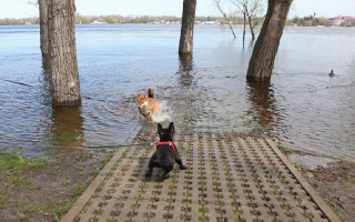 Аварийных подтоплений по Киеву не зафиксировано, а уровень воды в Днепре опустился еще на 10 см