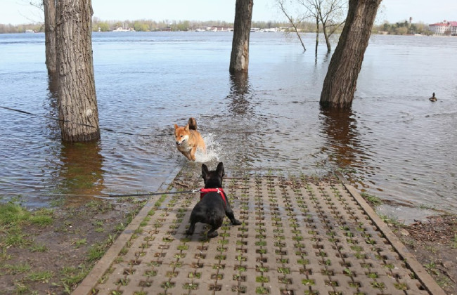 Аварійних підтоплень по Києву не зафіксовано, а рівень води в річці Дніпро опустився ще на 10 см