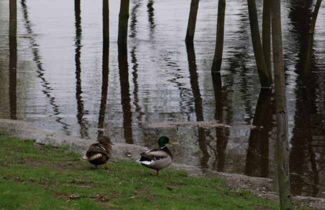 Какой уровень загрязненности воздуха в Киеве по состоянию на утро 21 апреля