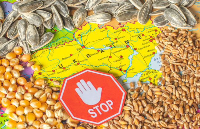 Пять стран ЕС просят Еврокомиссию расширить запрет на импорт украинской продукции