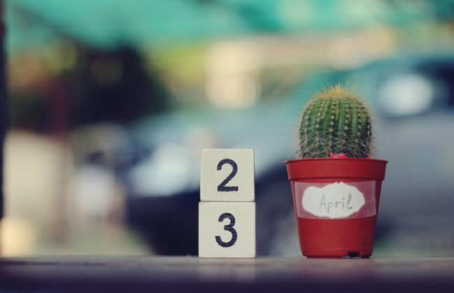 23 апреля: какой праздник и основные события