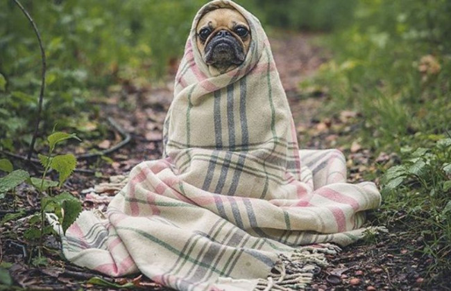 В Україні знову похолодає: з’явився прогноз синоптика