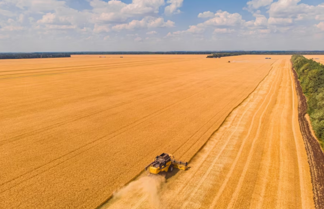 Бронирование военнообязанных: теперь больше аграриев сможет подать заявки