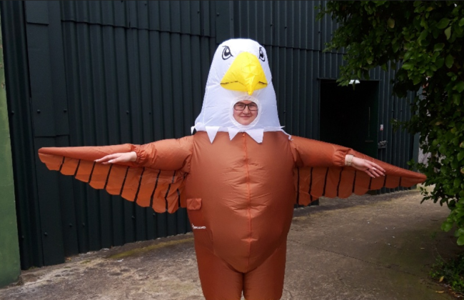 Зоопарк в Великобритании открыл вакансию отпугивателя чаек