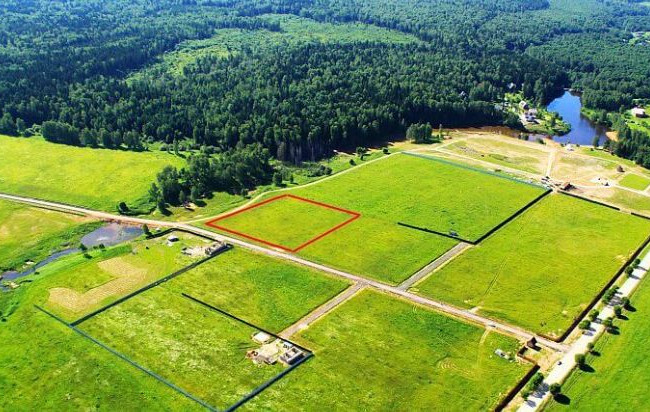 Проголосовал за выделение себе земли – получил штраф: в Черкасской области наказали депутата