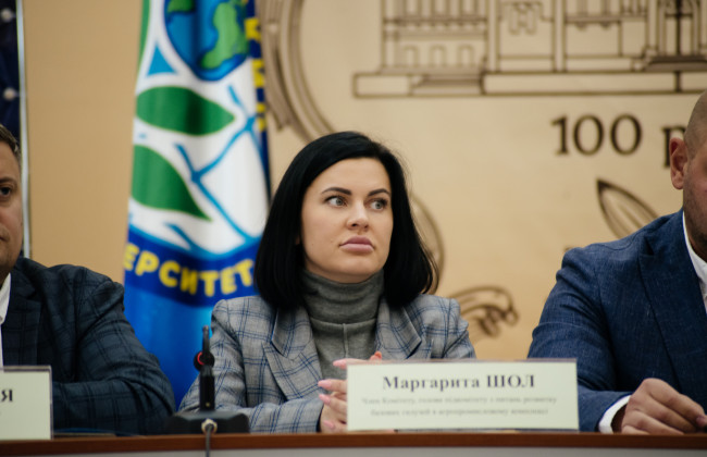 ВАКС закрыл дело против депутата от «Слуги народа» Маргариты Шол