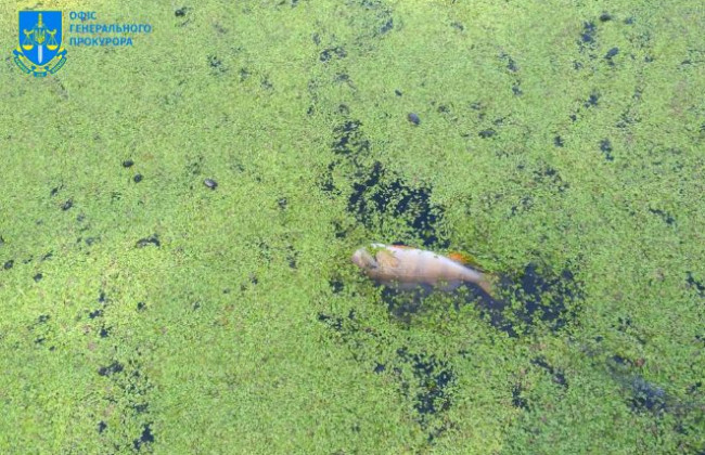 Сбросили в реку токсичные вещества: впервые в Украине будут судить за экоцид