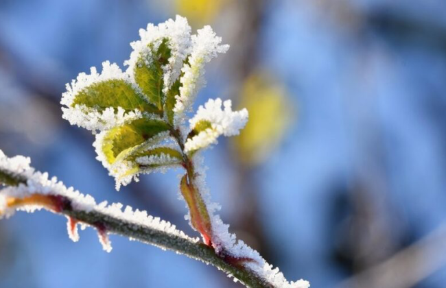Якою буде погода на початку травня: прогноз