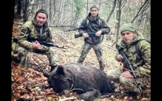 На Закарпатті нацпарк підозрює прикордонників у вбивстві ведмедиці, а ті заперечують