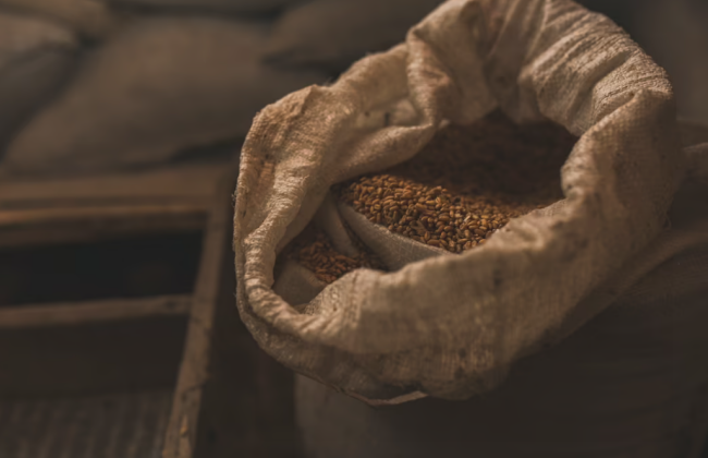 Еврокомиссия временно приняла меры по экспорту отдельных агротоваров из Украины в пять стран Европы