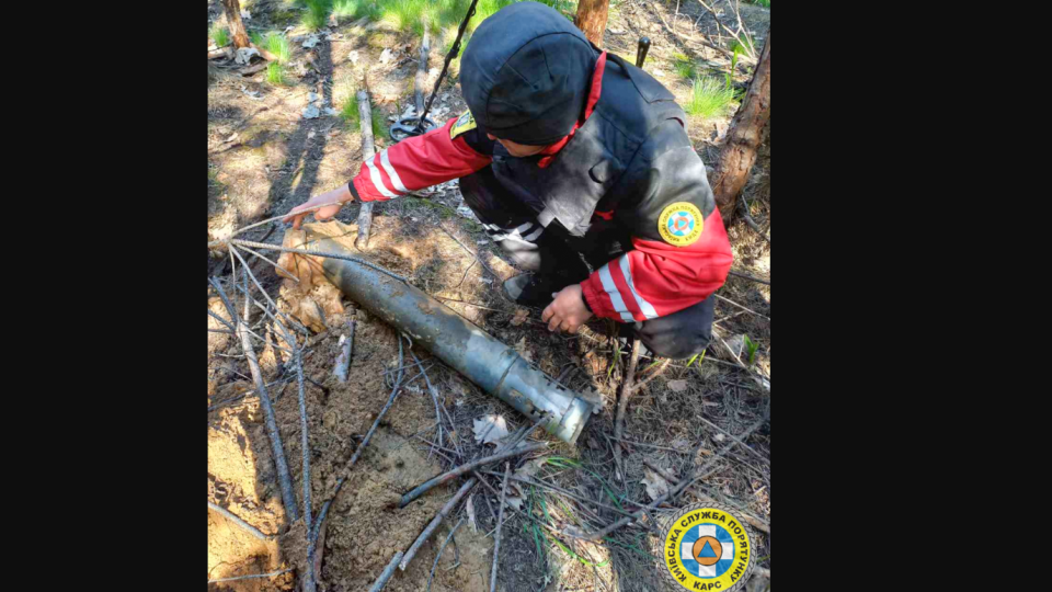 Киянам нагадали, що відвідувати ліси заборонено: там знаходять залишки боєприпасів