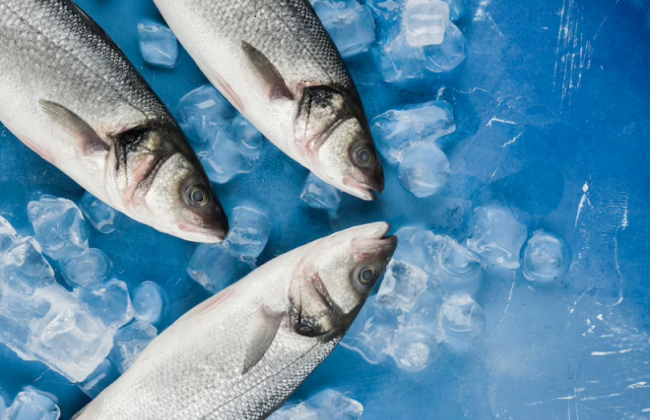 Білоруська та російська деревина, а також риба та морепродукти можуть потрапити під санкції