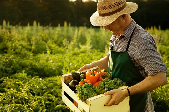 Які фізособи належать до сільгосптоваровиробників