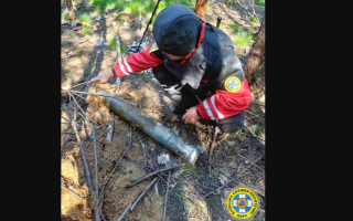 Киянам нагадали, що відвідувати ліси заборонено: там знаходять залишки боєприпасів