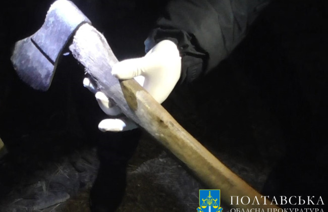 На Полтавщині засудили чоловіка, який вдарив сокирою по голові свою ексдружину