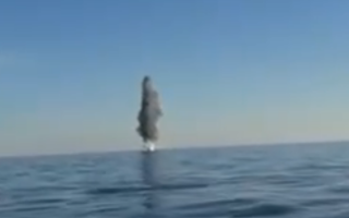 Вынесло на опасное расстояние до побережья: на Одесщине взорвали морскую мину, видео