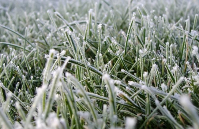 Синоптики прогнозують заморозки на Київщині